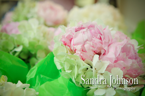 Best King and Prince Wedding photographer - Sandra Johnson (SJFoto.com)